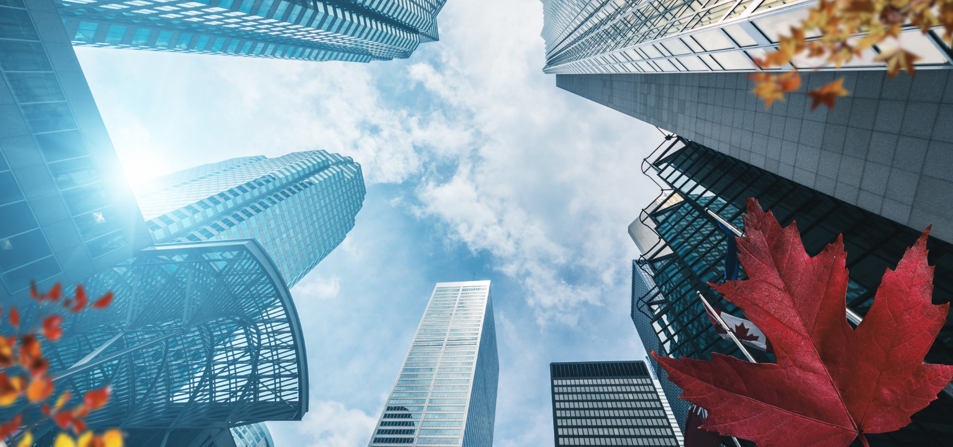 Work, Thrive & Succeed