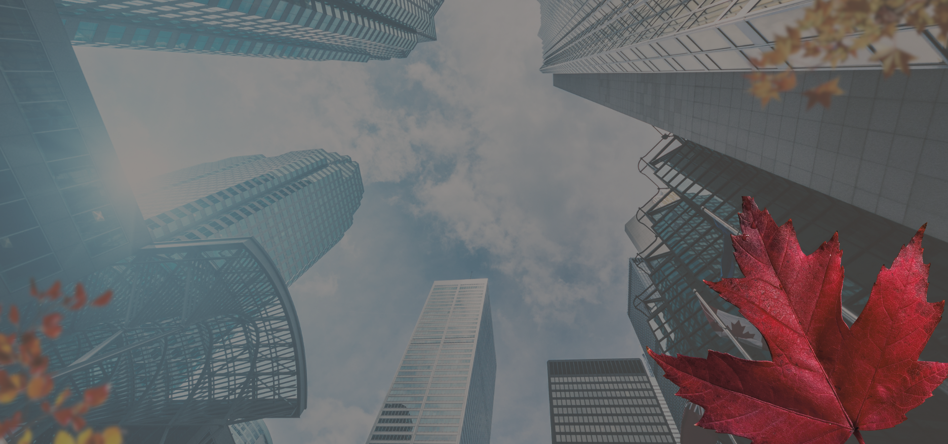 Work, Thrive & Succeed